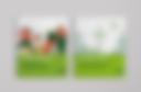 Boell_Fakten_Cover_Bild1.jpg