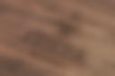 Frieda_Branding_Holz_Bild4.jpg